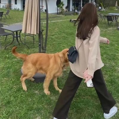 惊恐时分